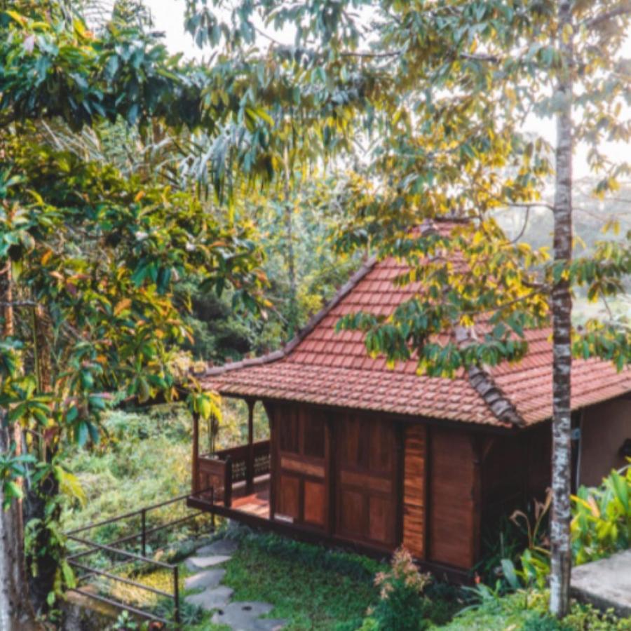 The Jungle Villa อูบุด ภายนอก รูปภาพ