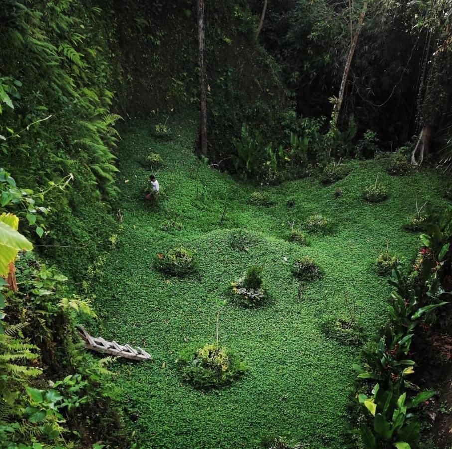 The Jungle Villa อูบุด ภายนอก รูปภาพ