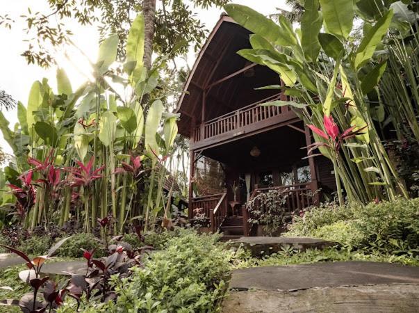 The Jungle Villa อูบุด ภายนอก รูปภาพ