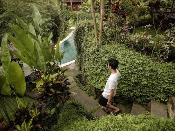 The Jungle Villa อูบุด ภายนอก รูปภาพ