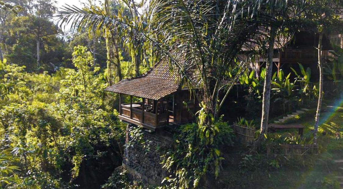The Jungle Villa อูบุด ภายนอก รูปภาพ