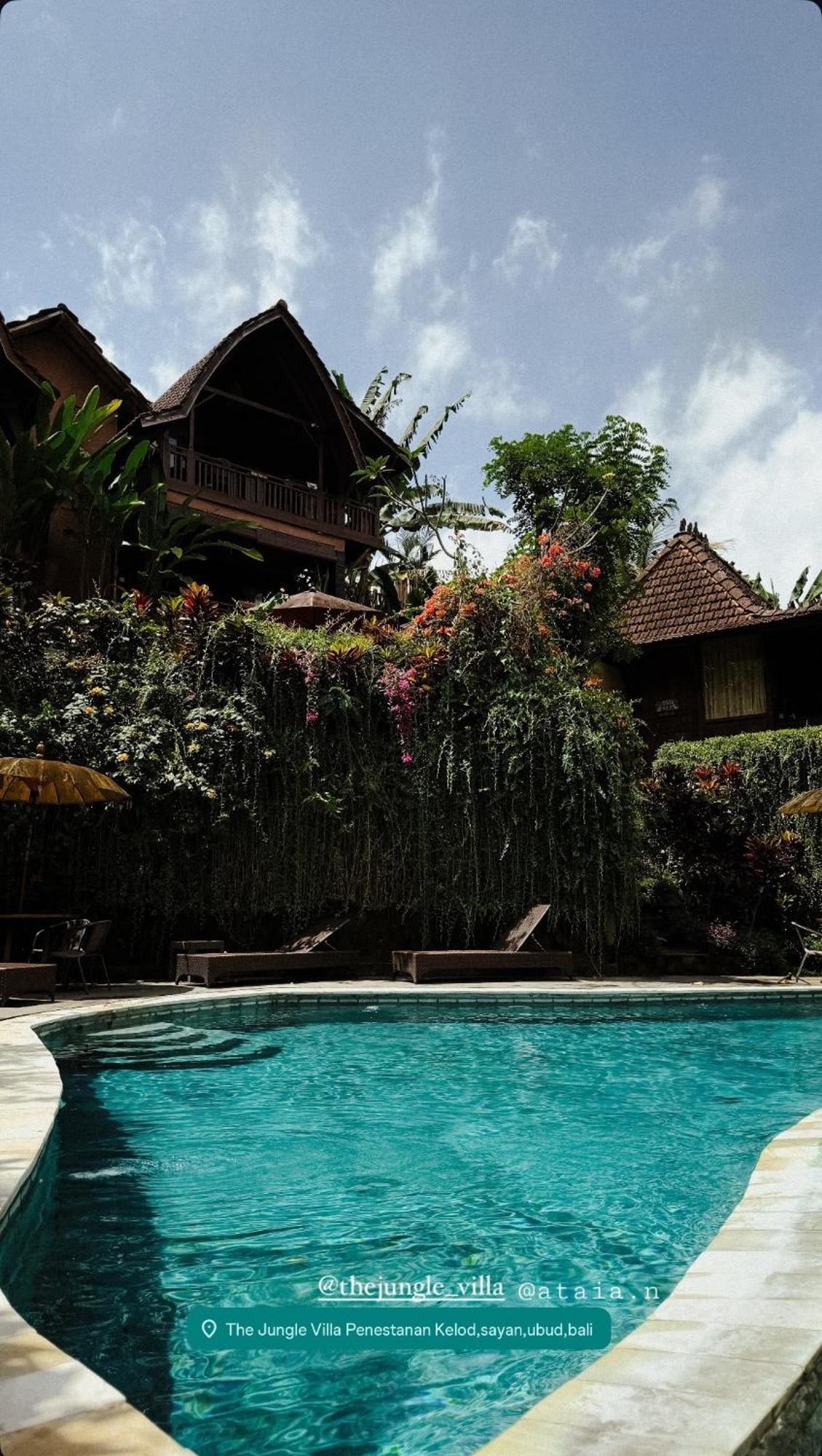 The Jungle Villa อูบุด ภายนอก รูปภาพ