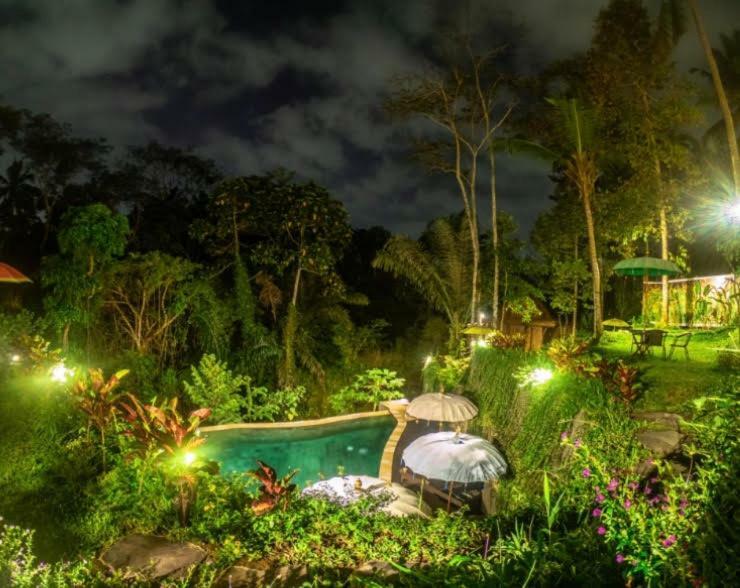 The Jungle Villa อูบุด ภายนอก รูปภาพ